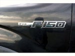 2010 F-150 Thumbnail 11