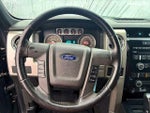 2010 F-150 Thumbnail 17