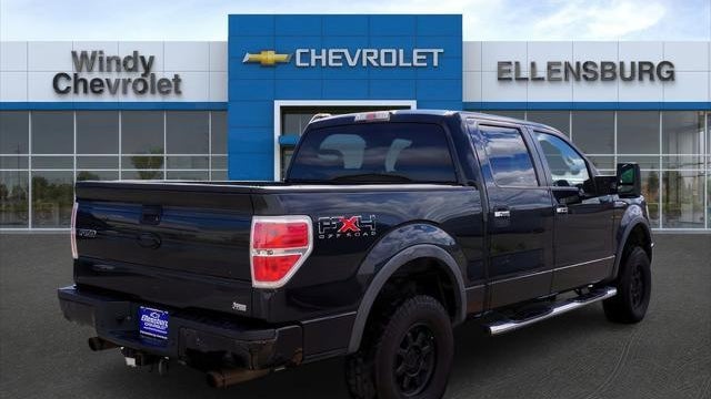 2010 Ford F-150 Platinum