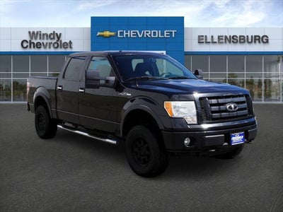 2010 Ford F-150 4X4 Platinum 4DR Supercrew Styleside 5.5 FT. SB