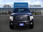 2010 F-150 Thumbnail 2
