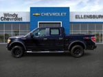 2010 F-150 Thumbnail 4