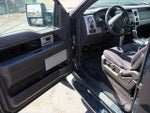 2010 F-150 Thumbnail 15