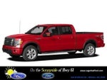 2010 F-150 Thumbnail 1