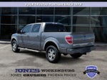 2010 F-150 Thumbnail 3