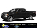 2010 F-150 Thumbnail 1