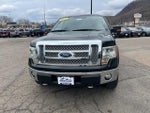 2010 F-150 Thumbnail 2