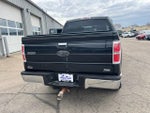 2010 F-150 Thumbnail 5