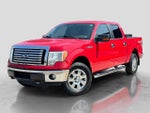 2010 F-150 Thumbnail 1