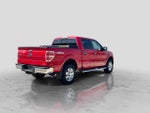 2010 F-150 Thumbnail 6