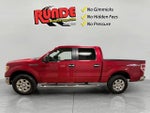 2010 F-150 Thumbnail 4