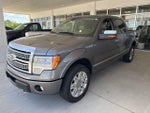 2010 F-150 Thumbnail 3