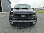 2024 F-150 Thumbnail 2