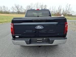 2024 F-150 Thumbnail 5