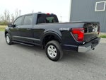 2024 F-150 Thumbnail 6
