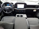 2024 F-150 Thumbnail 11