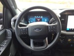 2024 F-150 Thumbnail 12