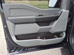 2024 F-150 Thumbnail 18