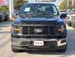 2024 F-150 Thumbnail 3