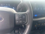 2024 F-150 Thumbnail 10