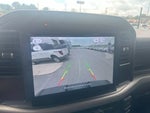 2024 F-150 Thumbnail 13