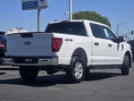 2025 F-150 Thumbnail 3