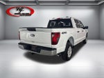 2026 F-150 Thumbnail 6