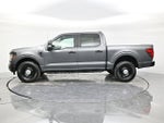 2025 F-150 Thumbnail 8