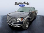 2011 F-150 Thumbnail 2