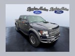 2011 F-150 Thumbnail 1
