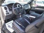 2014 F-150 Thumbnail 8