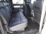 2014 F-150 Thumbnail 16