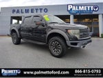 2013 F-150 Thumbnail 1