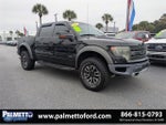 2013 F-150 Thumbnail 2