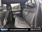 2013 F-150 Thumbnail 14