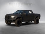 2013 F-150 Thumbnail 17
