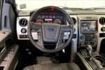2014 F-150 Thumbnail 13