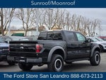 2014 F-150 Thumbnail 10