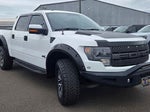 2013 F-150 Thumbnail 3