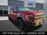 2017 F-150 Thumbnail 1