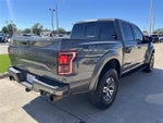 2018 F-150 Thumbnail 4