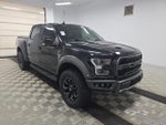 2019 F-150 Thumbnail 2