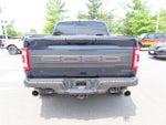 2023 F-150 Thumbnail 6