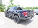 2023 F-150 Thumbnail 7