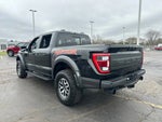 2023 F-150 Thumbnail 6