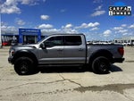 2024 F-150 Thumbnail 11