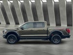 2024 F-150 Thumbnail 4