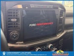 2024 F-150 Thumbnail 10
