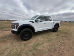 2025 F-150 Thumbnail 7