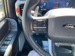 2025 F-150 Thumbnail 12